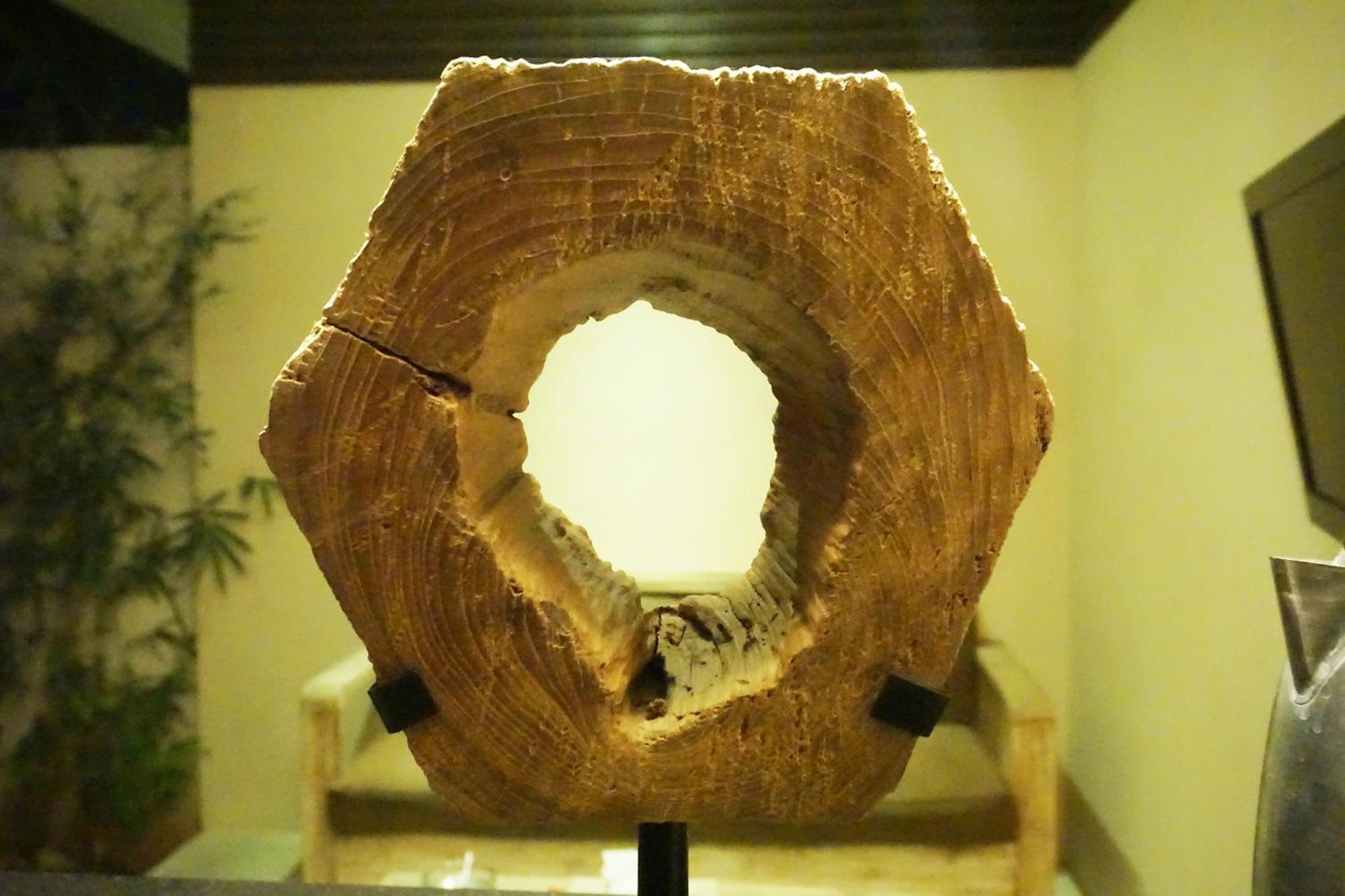 La Belle Villa Seminyak Dış mekan fotoğraf